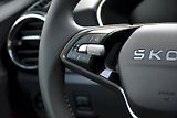 Škoda Fabia (2026) Top Selection 1,0 TSI 70 kW 5- - náhled 10