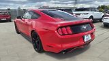 Ford Mustang 2.3T  50 Years Edition 233kw - náhled 8