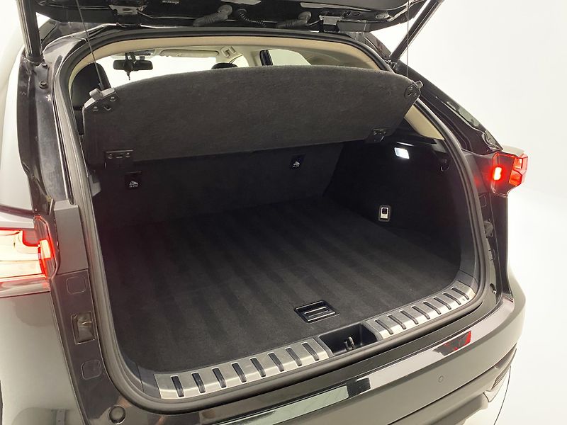 Lexus NX 300h AWD AUT CZ  - fotka 6 z 44
