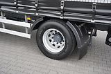 DAF LF (2019) 290 / E 6 / FIRANKA + WINDA /  - náhled 19
