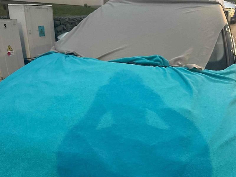 Improvizovanou ochranou před padajícími kroupy může být fólie.