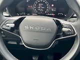 Škoda Fabia (2025) Top Selection 1.0TSi 85kW 6°ma - náhled 22