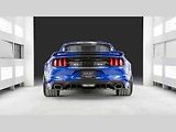 Shelby 1000.