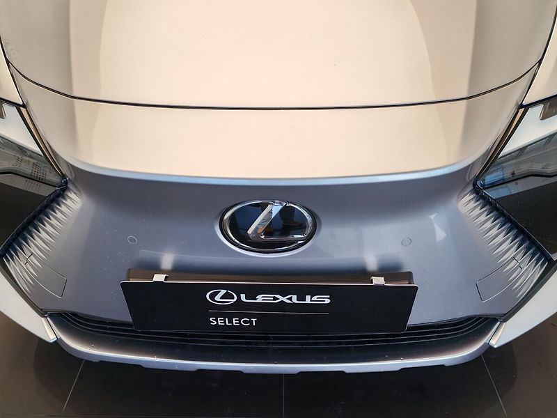 Lexus RZ 450e 450e Executive 4x4 - fotka 8 z 40