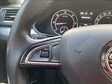 Škoda Superb 2,0 TDI  Ambition / NAVI - náhled 28