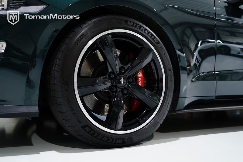 Ford Mustang (2019) Bullitt, Manual, RECARO - fotka 17 z 23