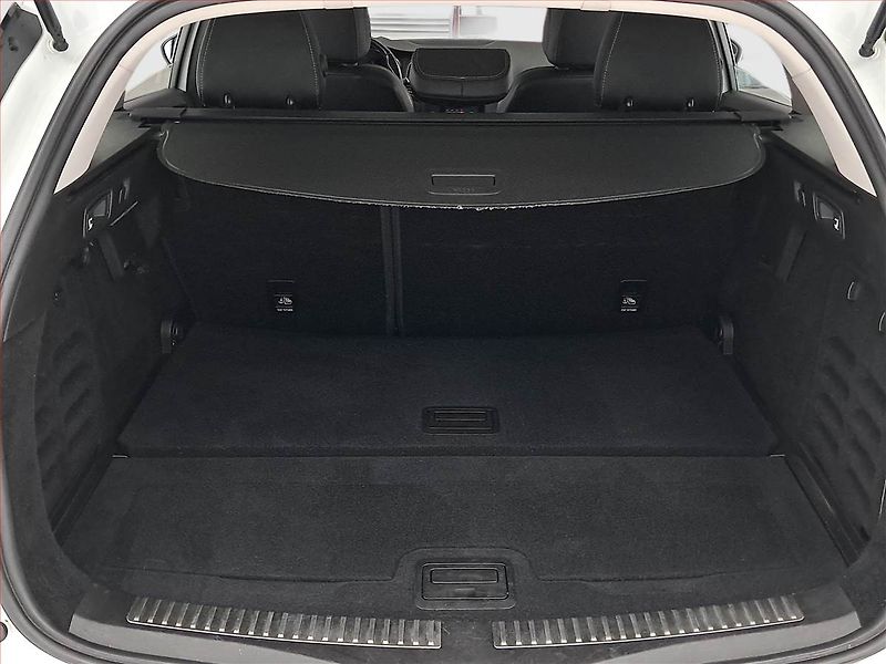 Renault Mégane (2018) 1.5 Blue dCi, Navi, Tempomat - fotka 14 z 19