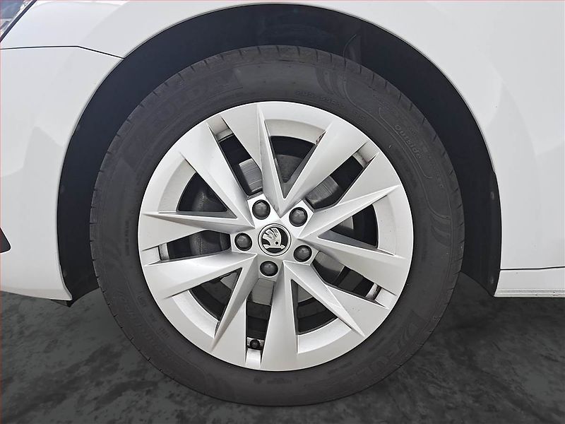 Škoda Octavia (2023) 2.0 TDI - fotka 15 z 22