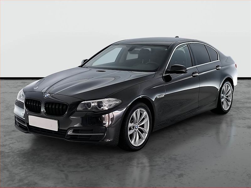 BMW Řada 5 (2013) Luxury Line 520d, Navi - fotka 2 z 19