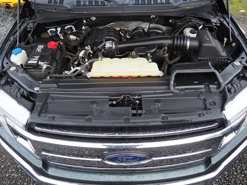 Ford F-150 (2018) 3.3L 4x4 SuperCrew - fotka 40 z 41