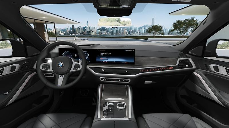 BMW X6 xDrive30d - fotka 10 z 14