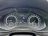 Škoda Karoq (2019) 2.0 TDi 110 KW naj.93 tis km - náhled 16