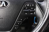 Kia Ceed 1,6 CRDi  ČR,1.MAJITEL,DPH - náhled 15