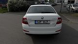 Škoda Octavia (2016) 1.6 TDI 81KW 172 TIS KM  - náhled 7