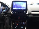 Ford EcoSport (2020) 1.0 EcoBoost, Navi, Tempomat - náhled 12