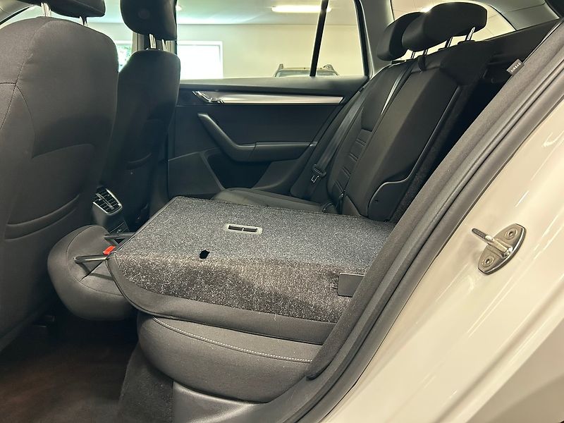 Škoda Octavia (2019) 1.5 CNG DSG Ambition 2019 | Zá - fotka 24 z 64