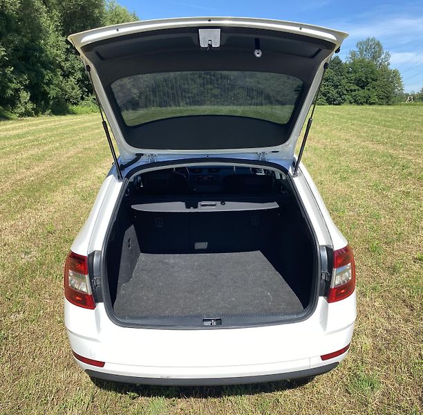 Škoda Octavia (2019) - fotka 13 z 14