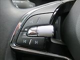 Škoda Octavia 2,0 TDI Style ČR - náhled 18