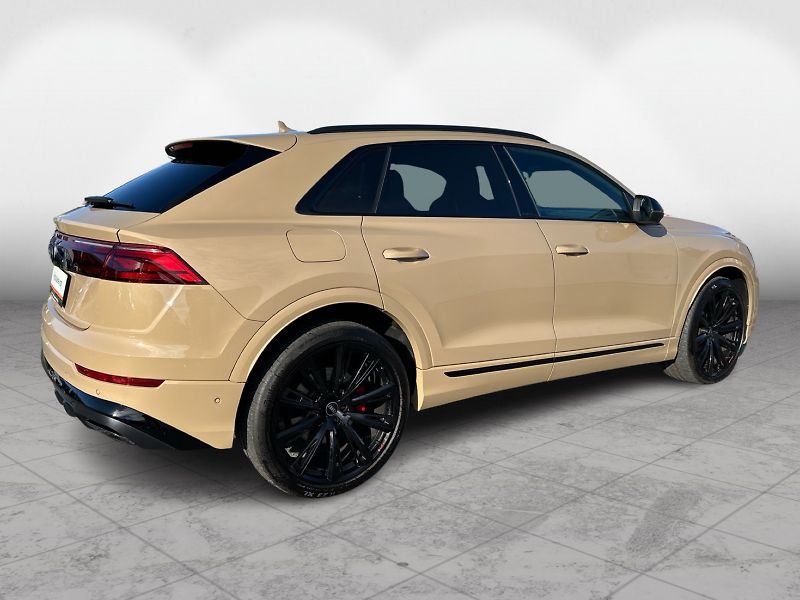 Audi Q8 60 TFSIe PHEV 250kW Quattro So - fotka 6 z 22
