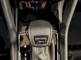 Škoda Karoq (2025) 2.0 TSI 140 kW DSG 4x4 Sportli - náhled 19