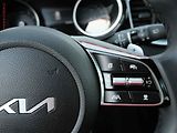 Kia XCeed (2025) 1.6 T-GDi, 1.maj,ČR, AT - náhled 13