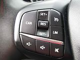 Ford Puma (2020) 1.0 EcoBoost, 1.maj,ČR, Navi - náhled 12
