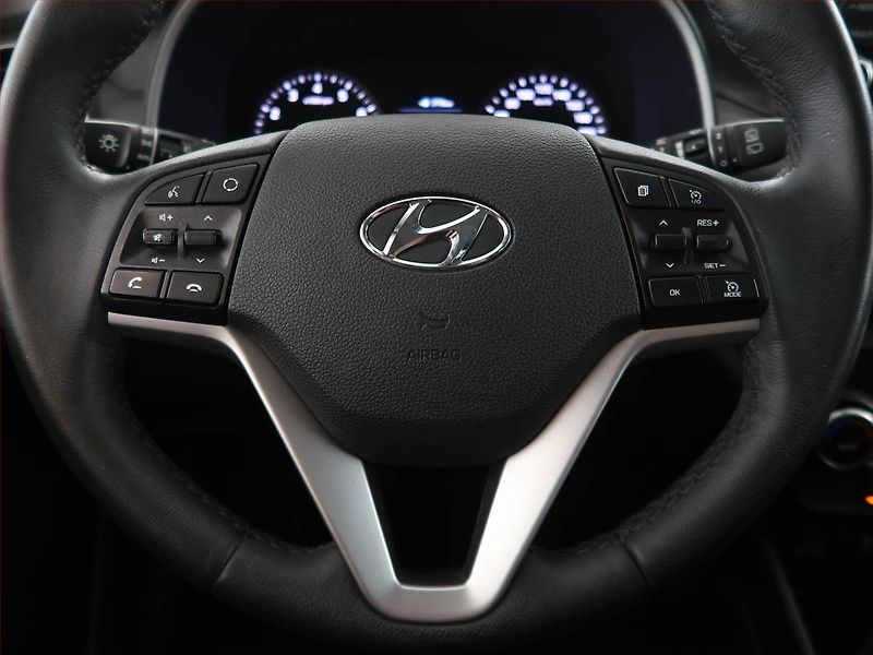 Hyundai Tucson (2019) 1.6 T-GDI, 4X4, ČR,1.maj - fotka 13 z 22