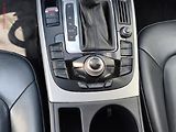 Audi A4 Allroad (2012) 3.0 TDi quattro, AT, bixen - náhled 19