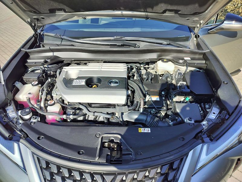 Lexus UX 250h BUSINESS edition,alcantara - fotka 25 z 25