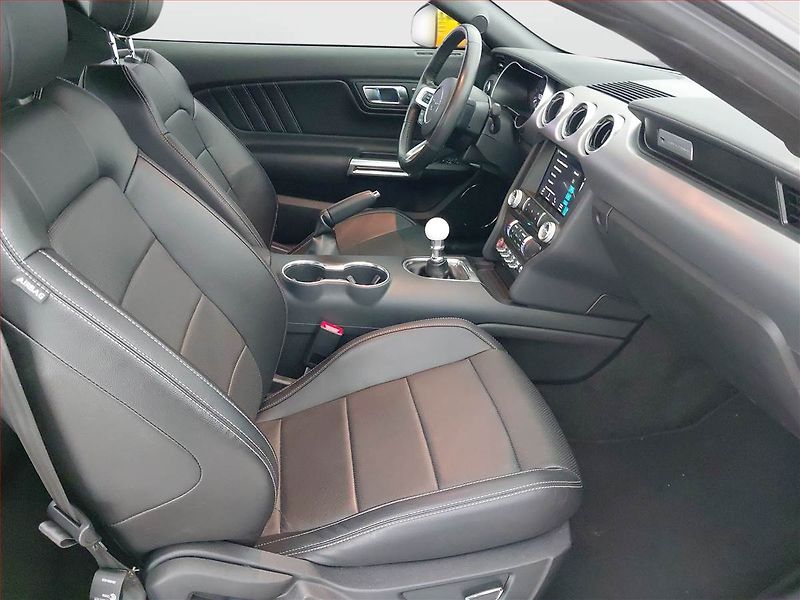 Ford Mustang (2018) GT V8 5.0 - fotka 9 z 20