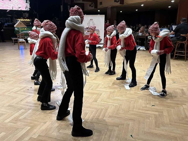 Rally ples Škodateamu v Klatovech.
