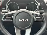 Kia Ceed (2023) 1.5i, 1.maj,ČR, AC, tempo - náhled 13