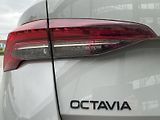 Škoda Octavia (2026) Combi 2.0 TDI DSG Sportline - náhled 17