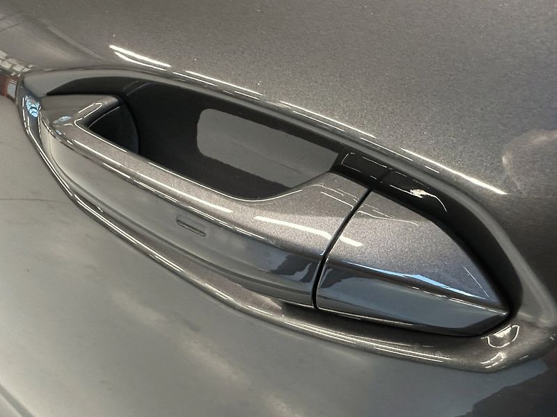 Cupra Terramar (2026) 1.5 eTSI 150k DSG - fotka 9 z 18