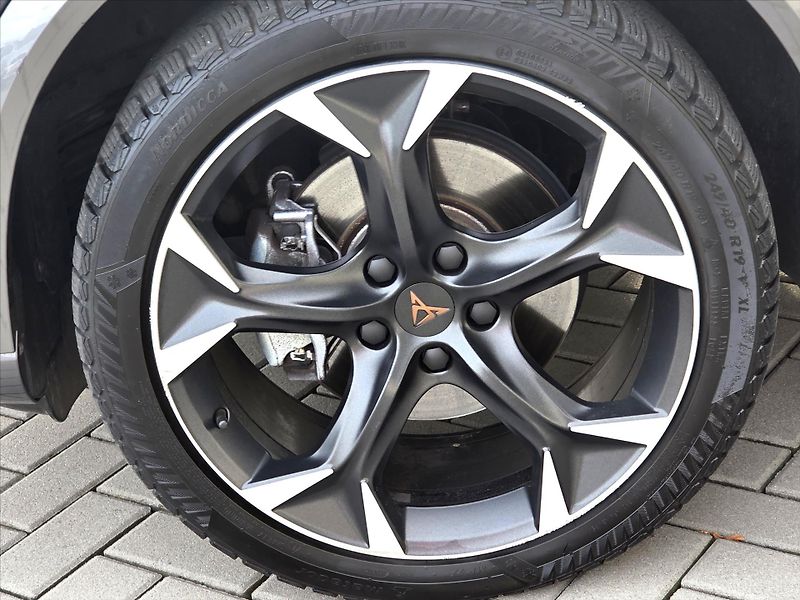Cupra Formentor 2,0 TSi DSG 4x4 Záruka2029 ČR - fotka 21 z 22