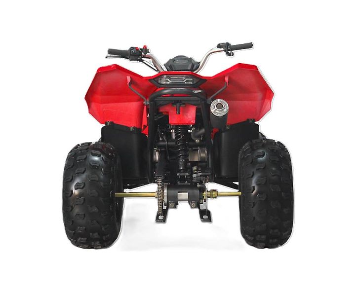 Linhai (2026) ATV 110 - fotka 6 z 8