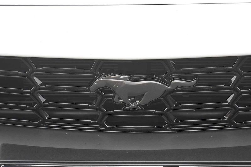 Tento Ford Mustang byl ve výkonnější verzi Dark Horse.