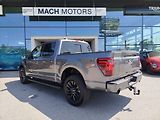 Ford F-150 (2026) Lariat 5,0 298 kW - náhled 6