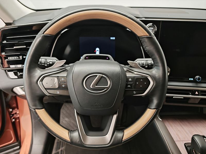 Lexus RX 450h plus RX 450h+ Luxury - fotka 37 z 50