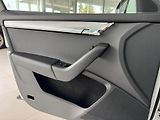 Škoda Octavia 2,0TDI DSG*Navi*Xenon*Kamera - náhled 29