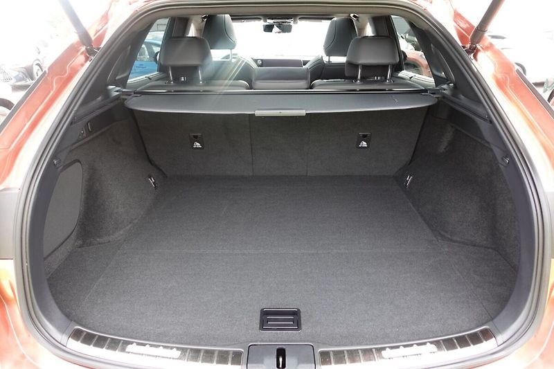Lexus RX RX500h F Sport Plus Panoramic - fotka 15 z 40