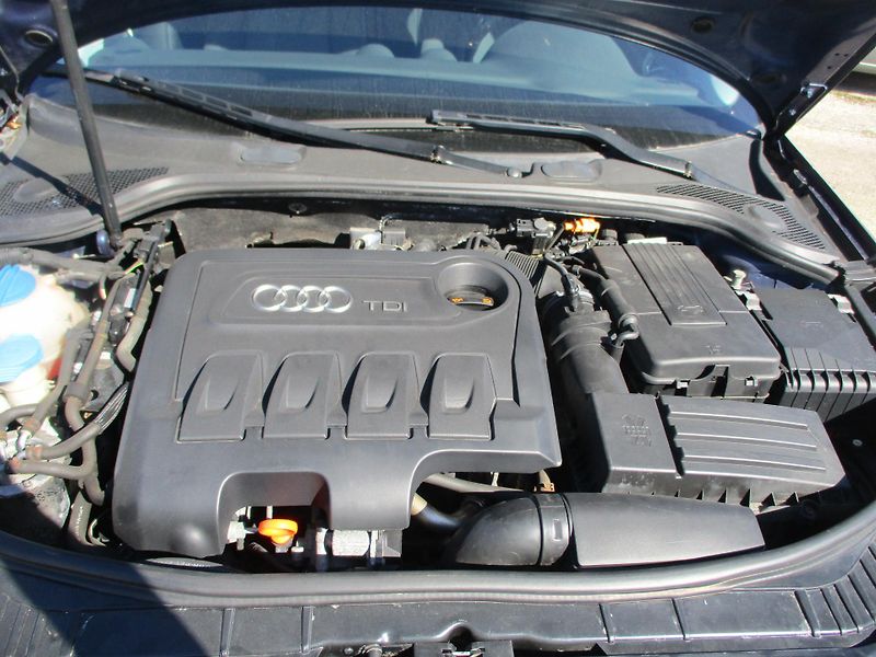 Audi A3 (2012) Quattro 2,0 TDi sportback - fotka 11 z 11