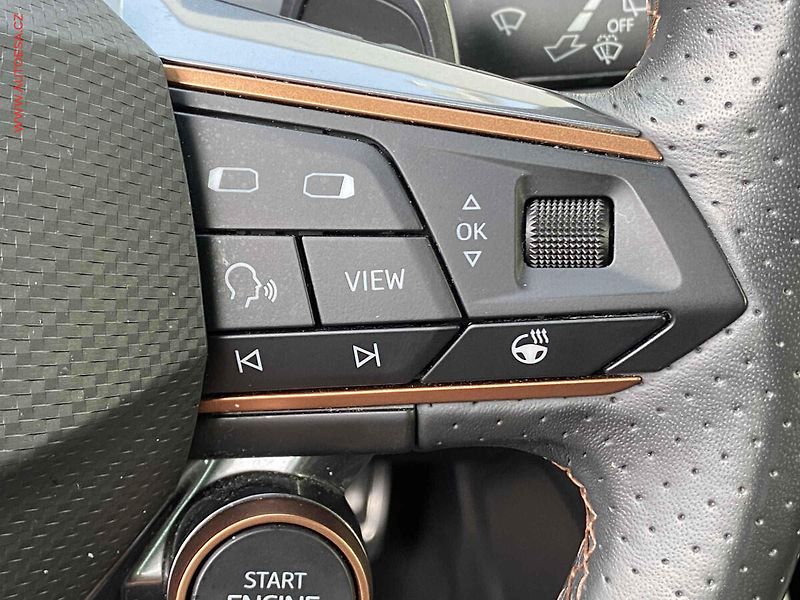 Cupra Formentor (2021) 2.0 TSi 4Drive, DSG, navi, - fotka 14 z 21