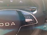 Škoda Superb (2026) SPORTLINE 150/2.0 TSI A7A - náhled 14