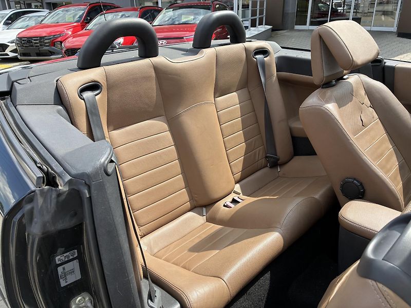 Renault Mégane 1.6i-16V,82kW,KABRIOLET - fotka 20 z 23