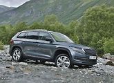 Kodiaq si zase velmi dobře vedl v kategorii 4-5letých