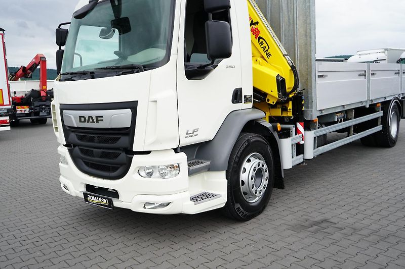 DAF LF (2014) 250 / SKRZYNIOWY + HDS / HYVA  - fotka 20 z 56