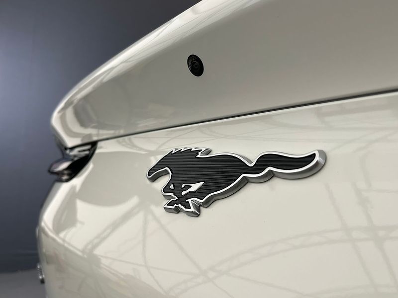 Ford Mustang Mach-E Standard Range AWD, SoH 93,1 % - fotka 38 z 53