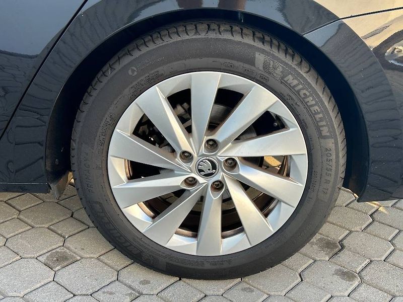 Škoda Octavia Ambition 7DSG 1,5TSI - fotka 19 z 22