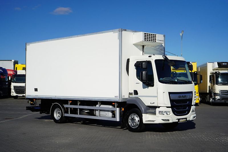 DAF LF (2022) 260 / ACC / EURO 6 / CHŁODNIA  - fotka 2 z 41